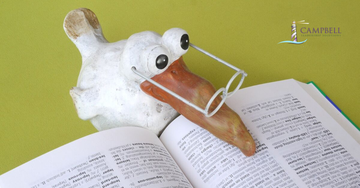 A bird reading a book with glasses on. Campbell Leadership Solutions